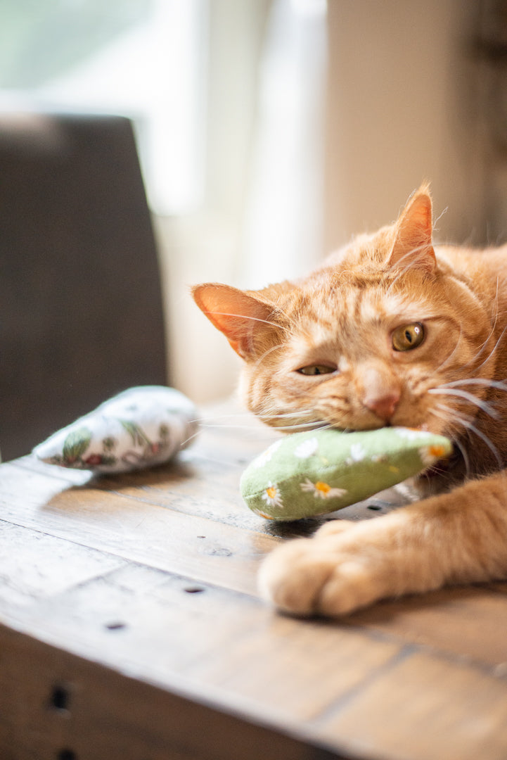 Scrap Fabric Cat Toys