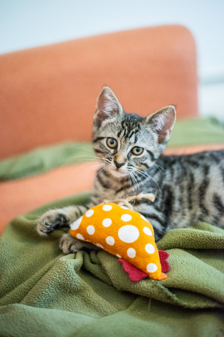 Scrap Fabric Cat Toys