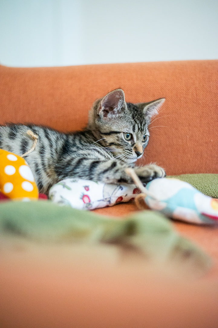 Scrap Fabric Cat Toys
