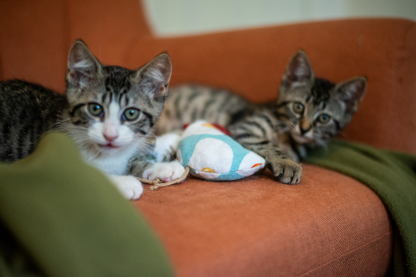 Scrap Fabric Cat Toys