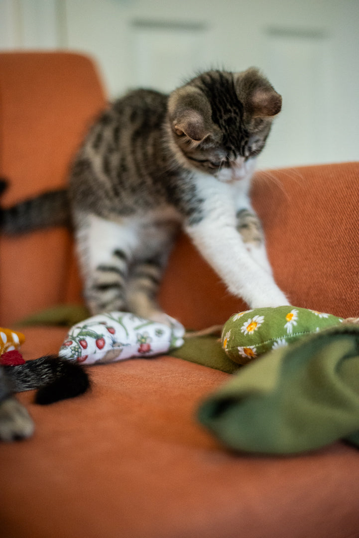 Scrap Fabric Cat Toys