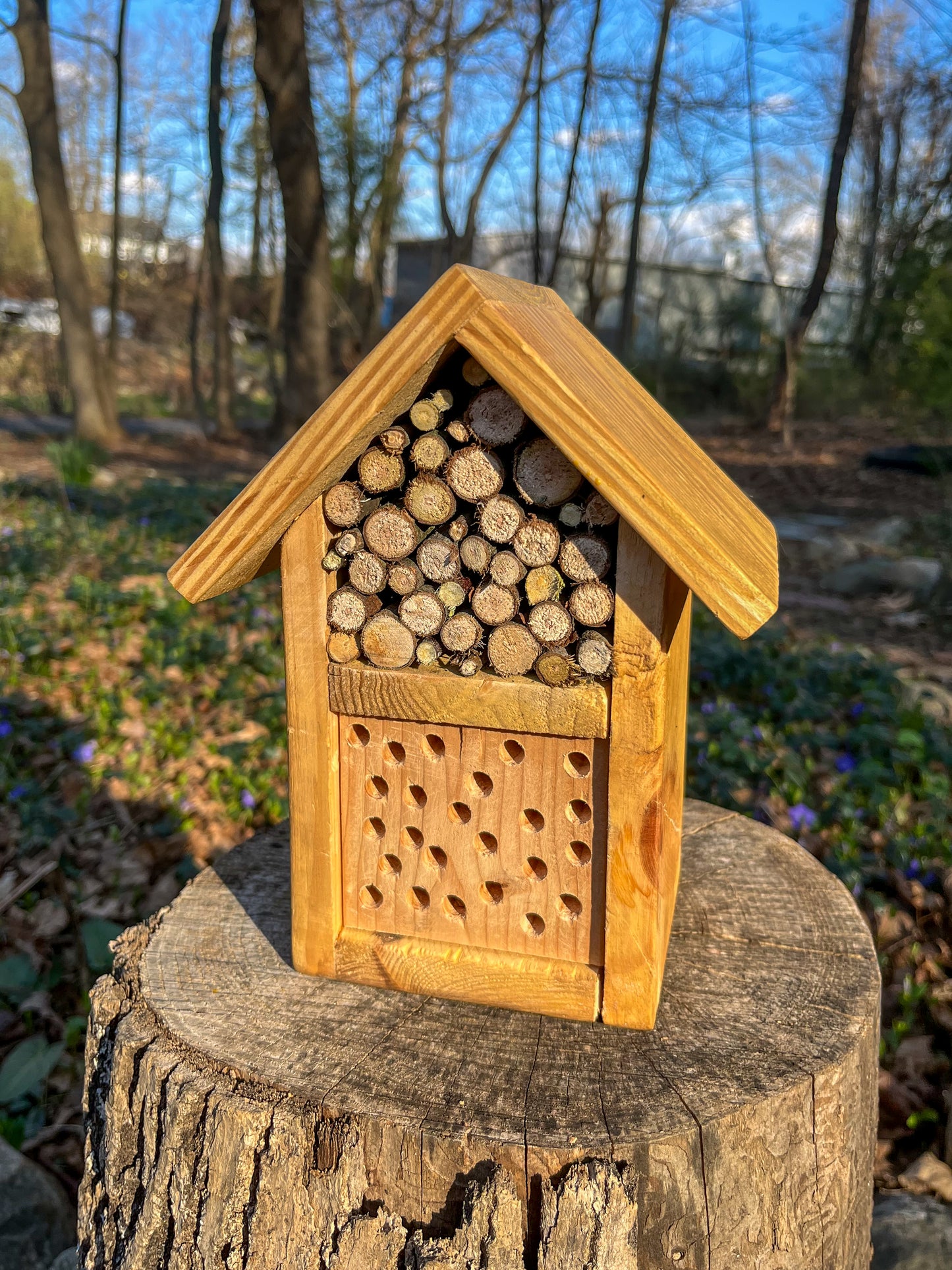 Pollinator House