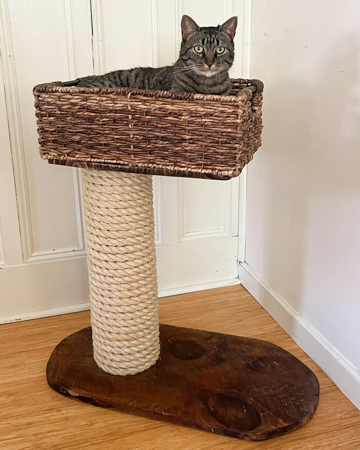 Basket Cat Tree