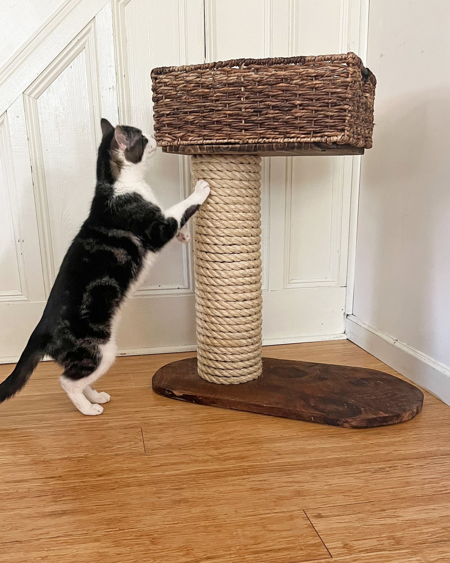 Basket Cat Tree