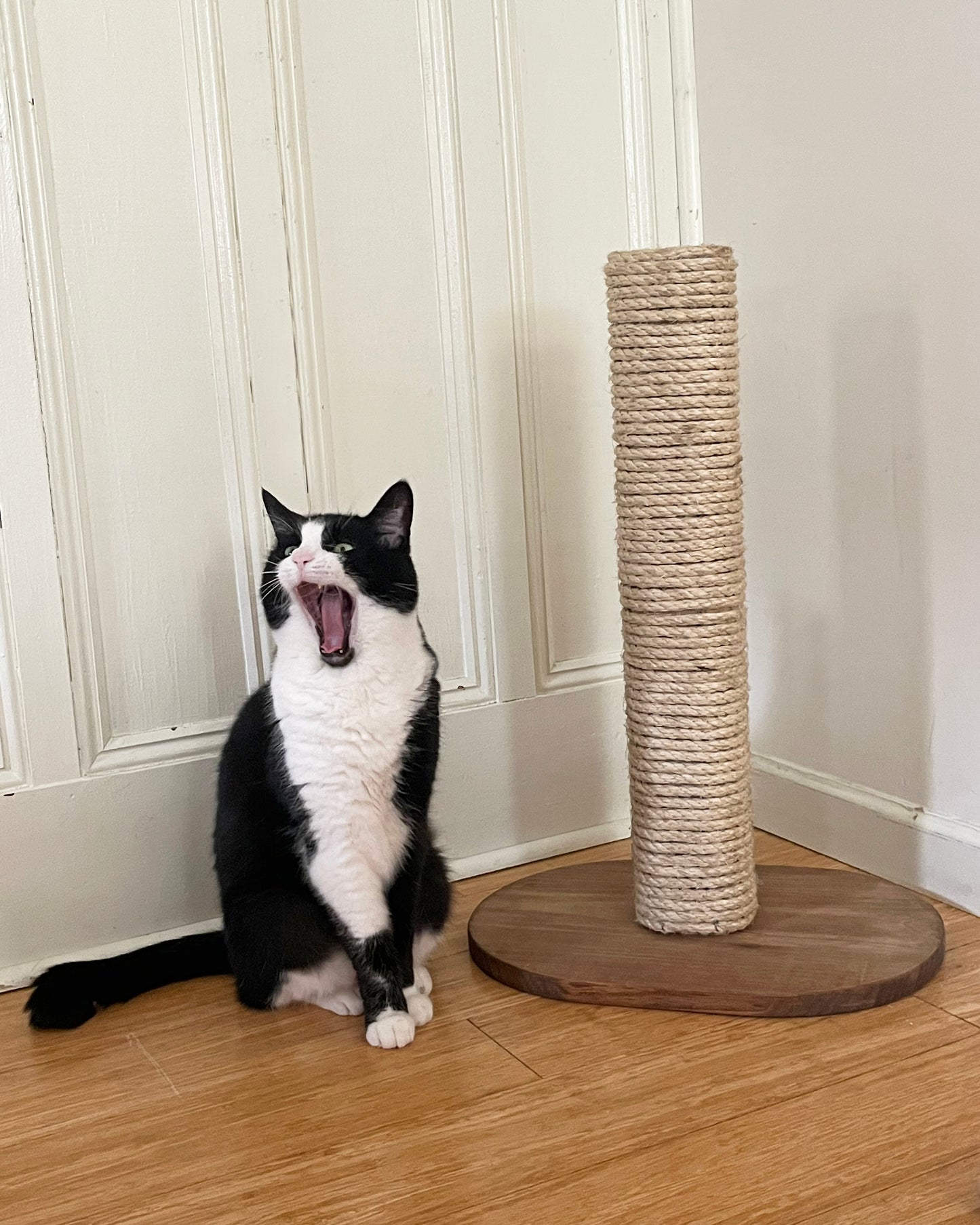 Cat Scratcher