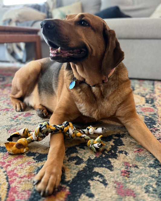 Braided Tug Toy