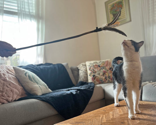 Feather Cat Toy