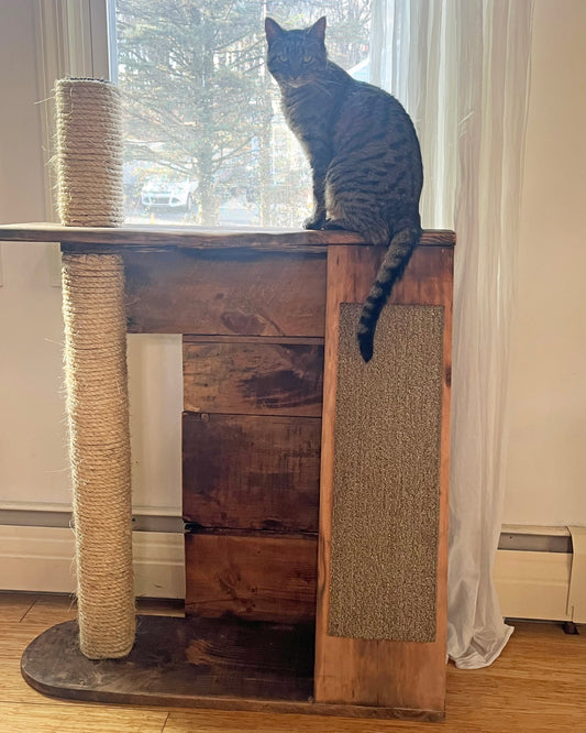 Paper Crate Cat Tree
