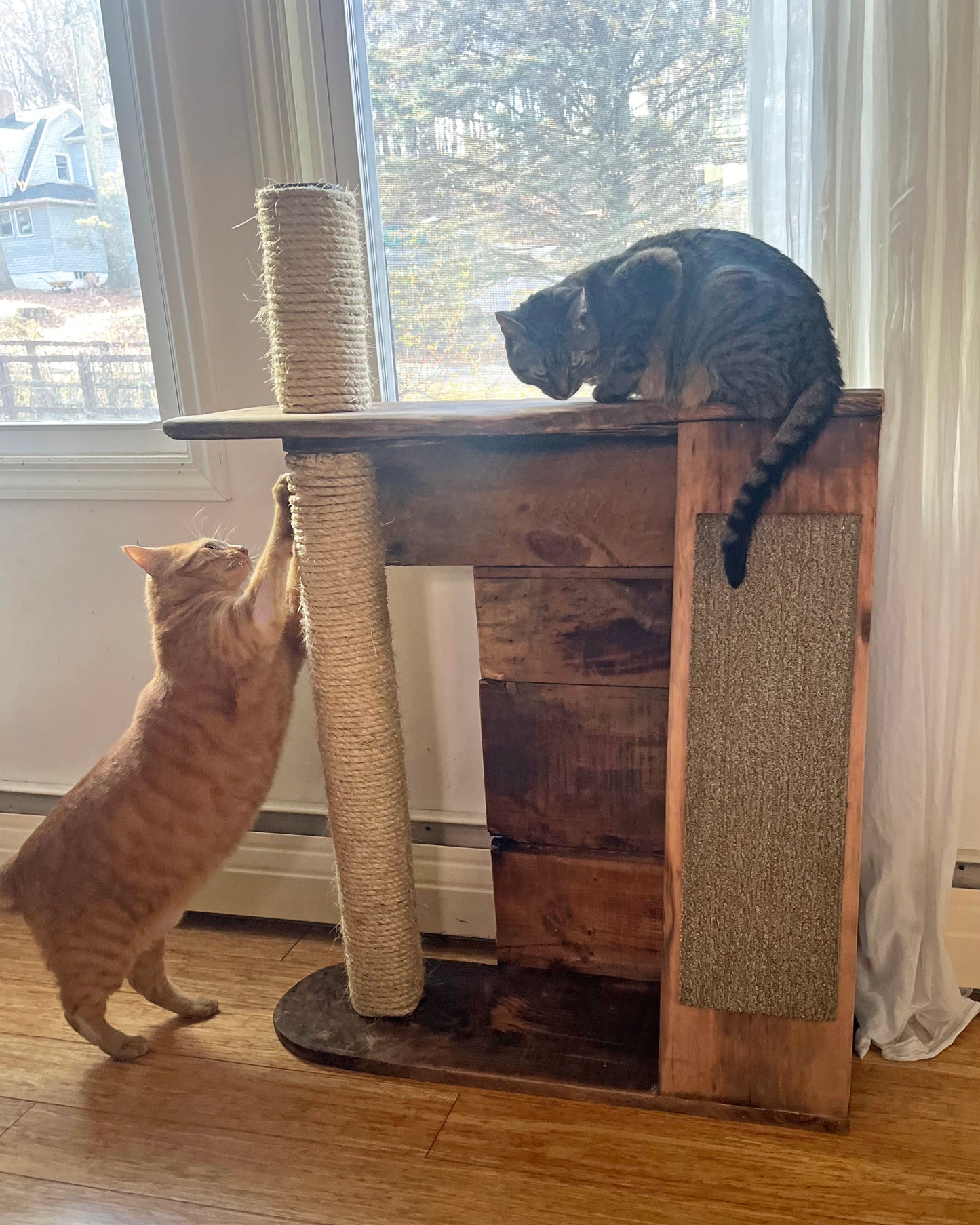 Paper Crate Cat Tree