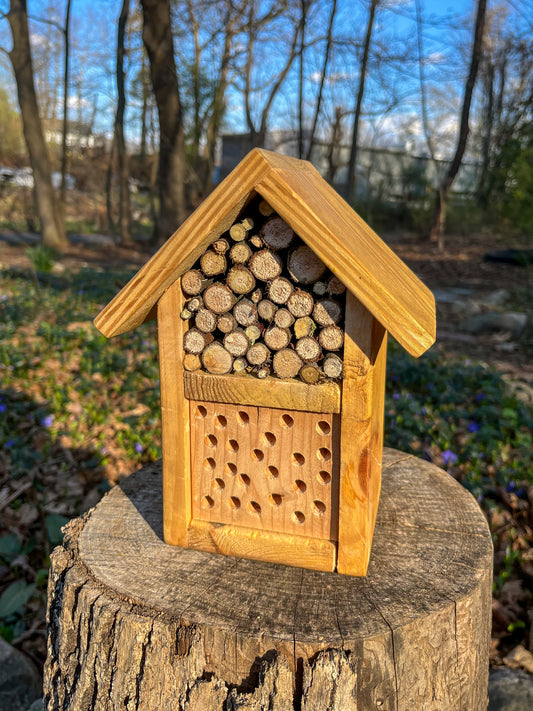 Pollinator House