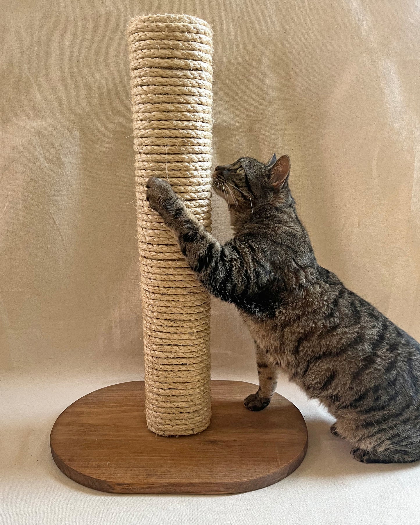 Cat Scratcher