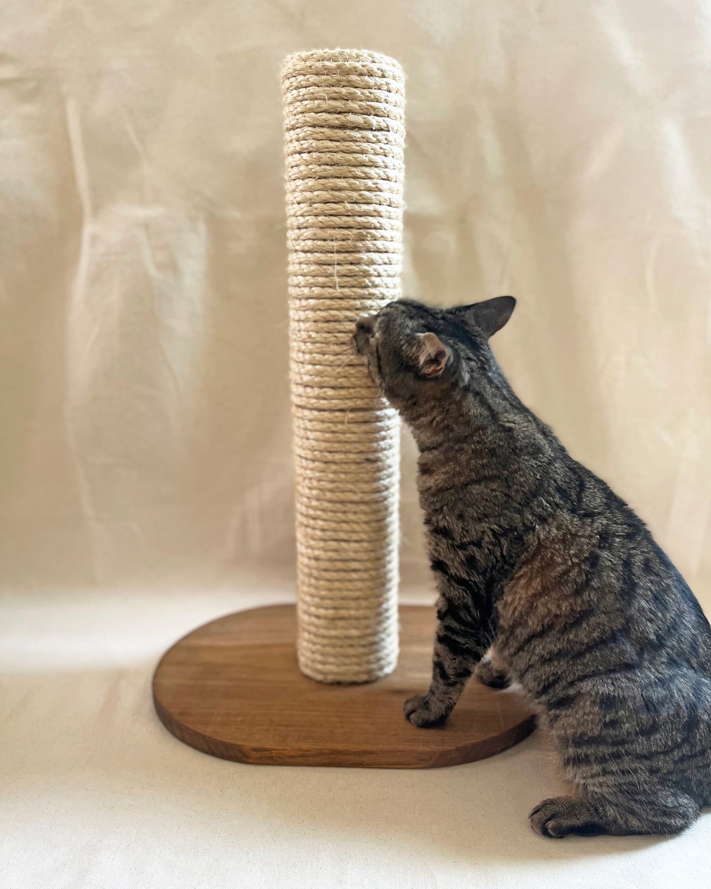 Cat Scratcher