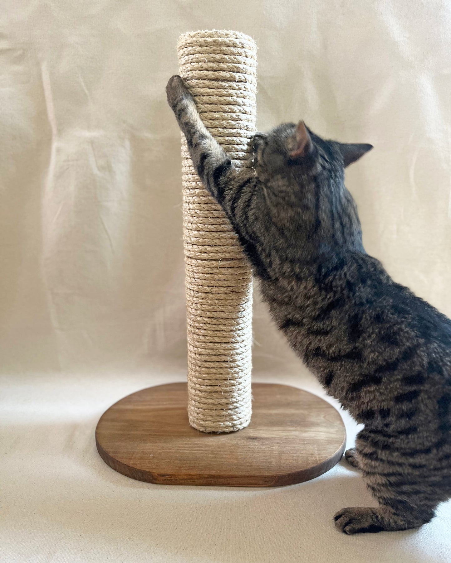 Cat Scratcher