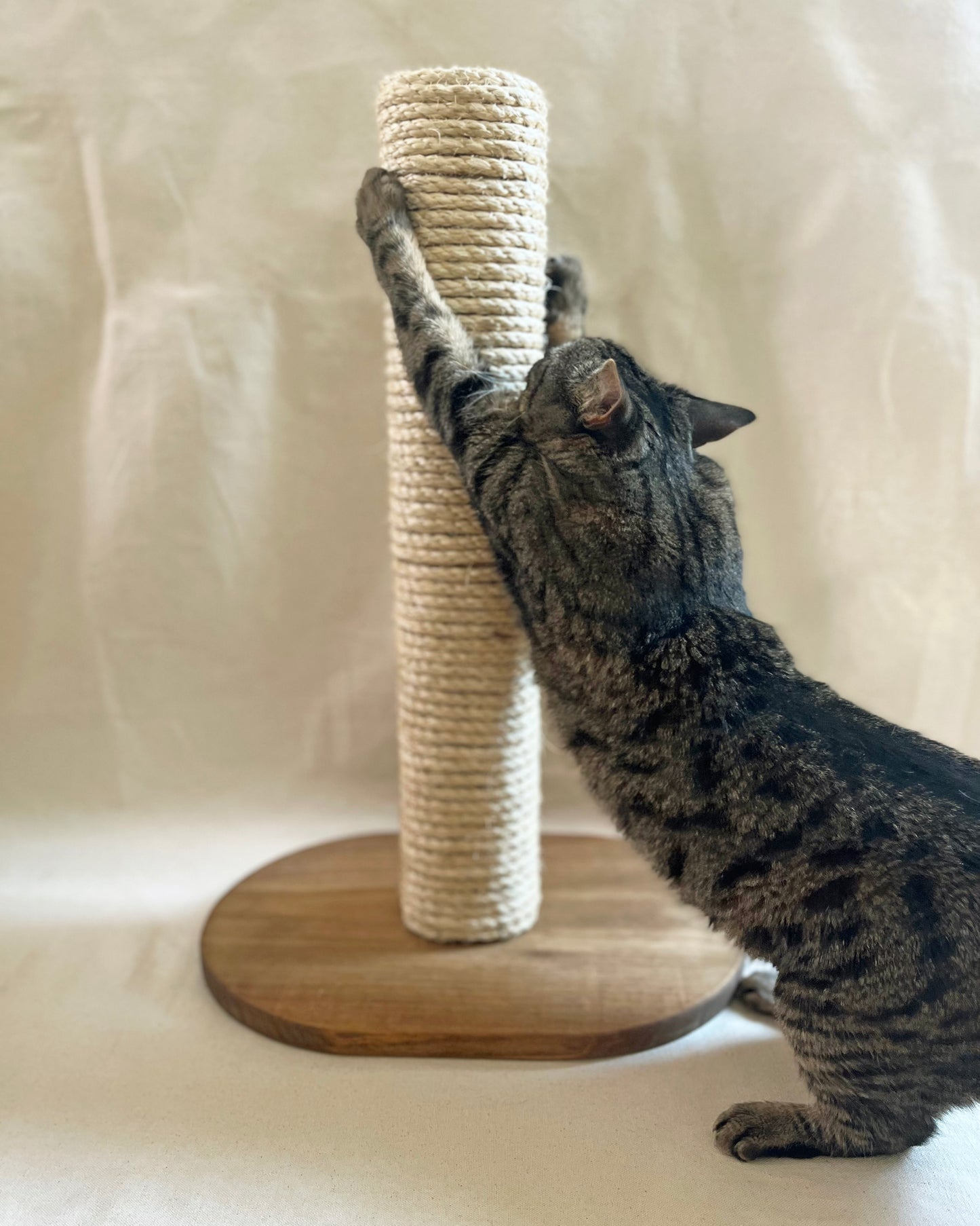 Cat Scratcher