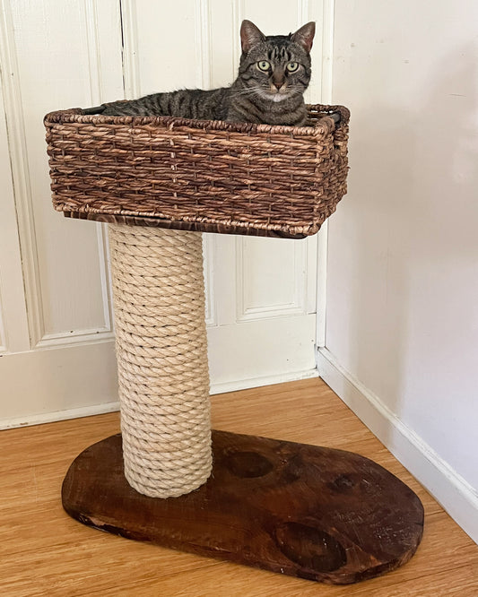 Basket Cat Tree