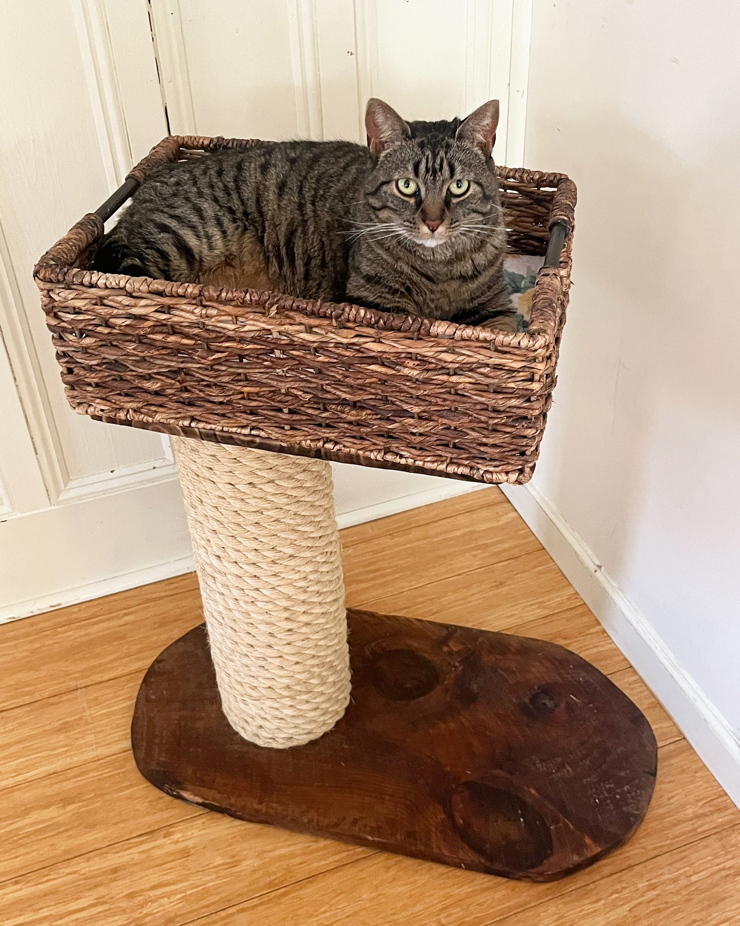 Basket Cat Tree