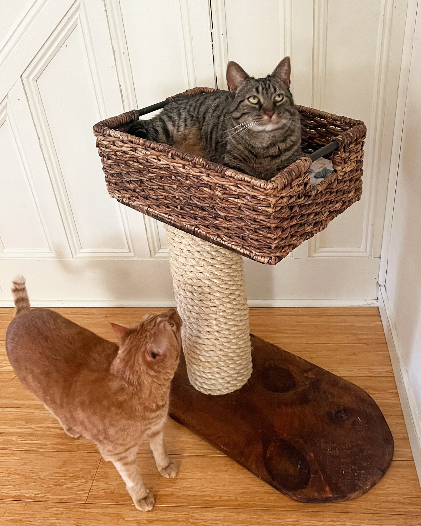 Basket Cat Tree