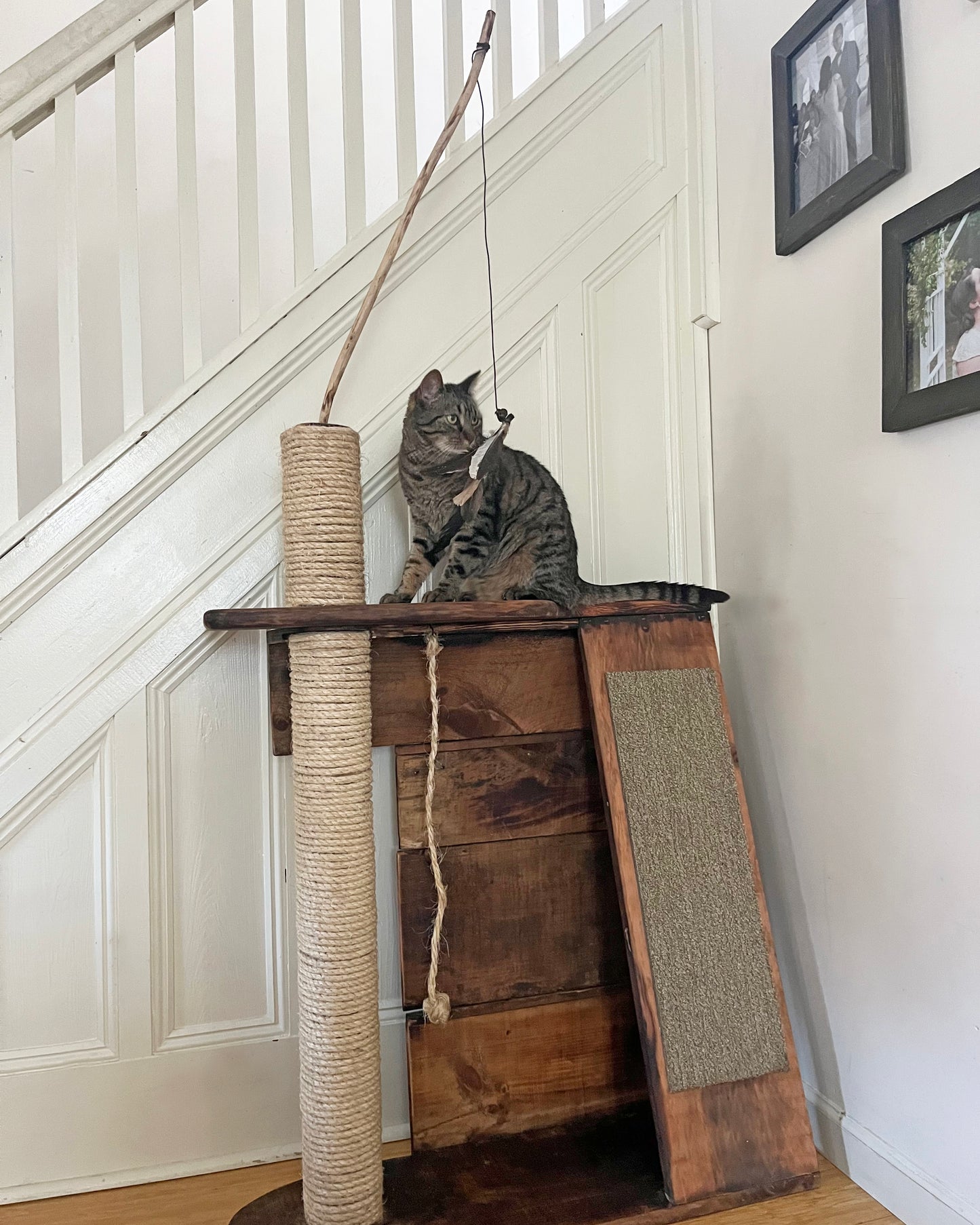 Paper Crate Cat Tree