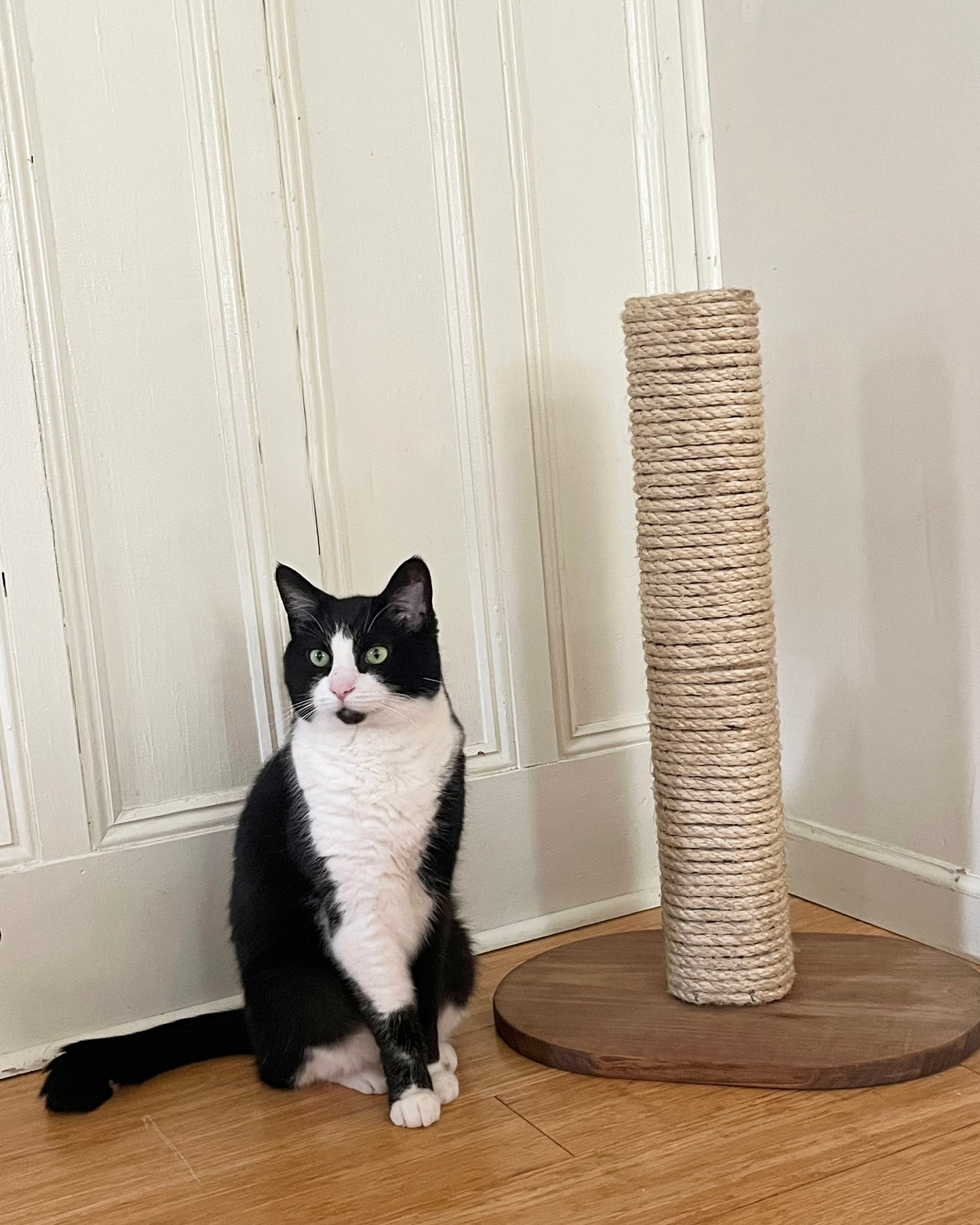 Cat Scratcher