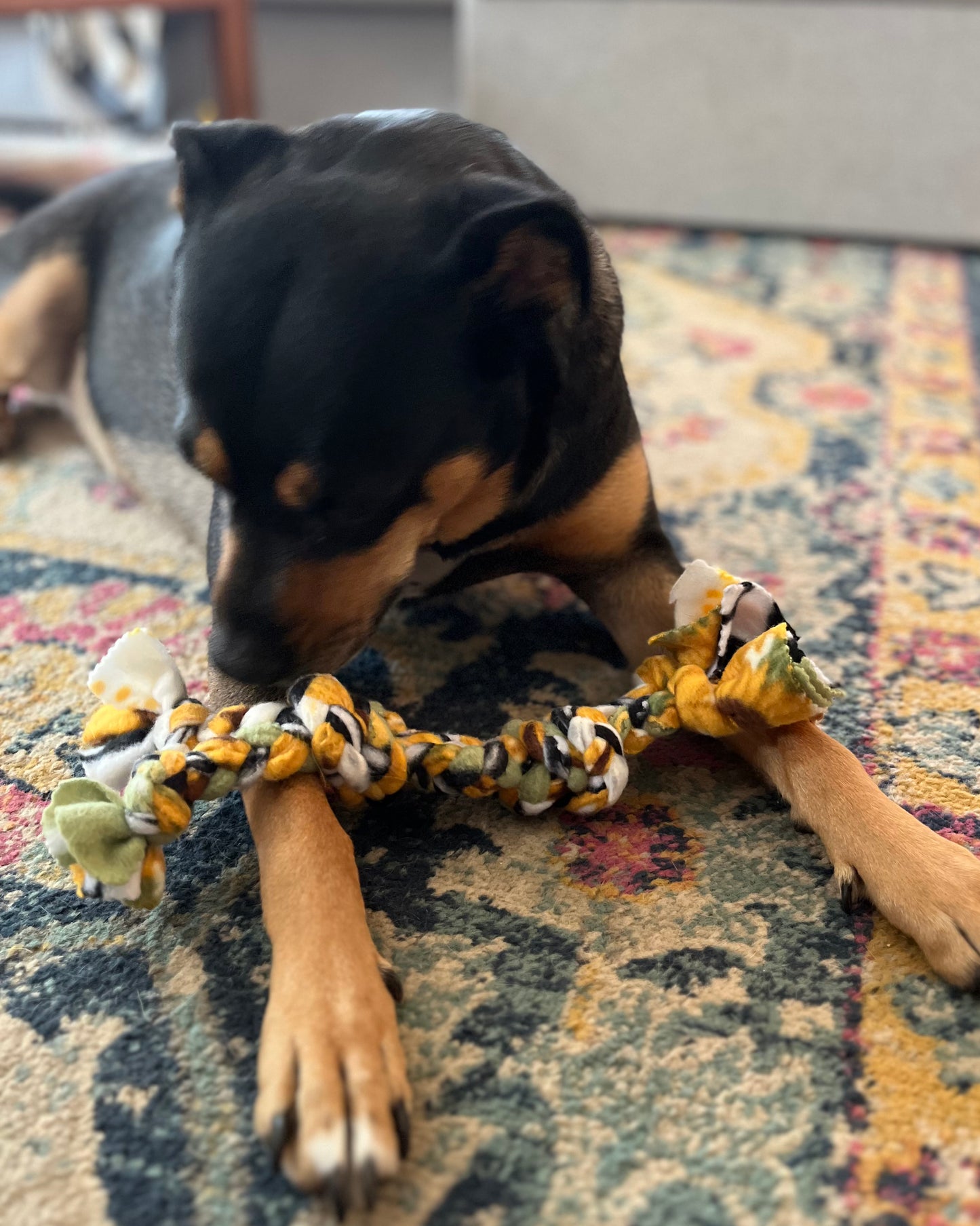 Braided Tug Toy