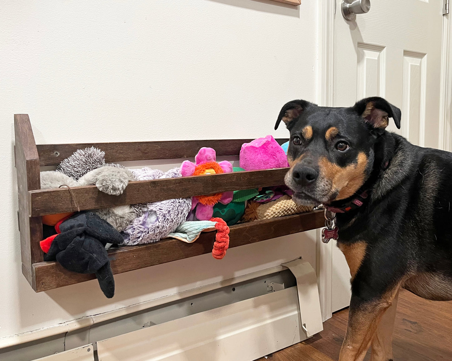 Pet Toybox