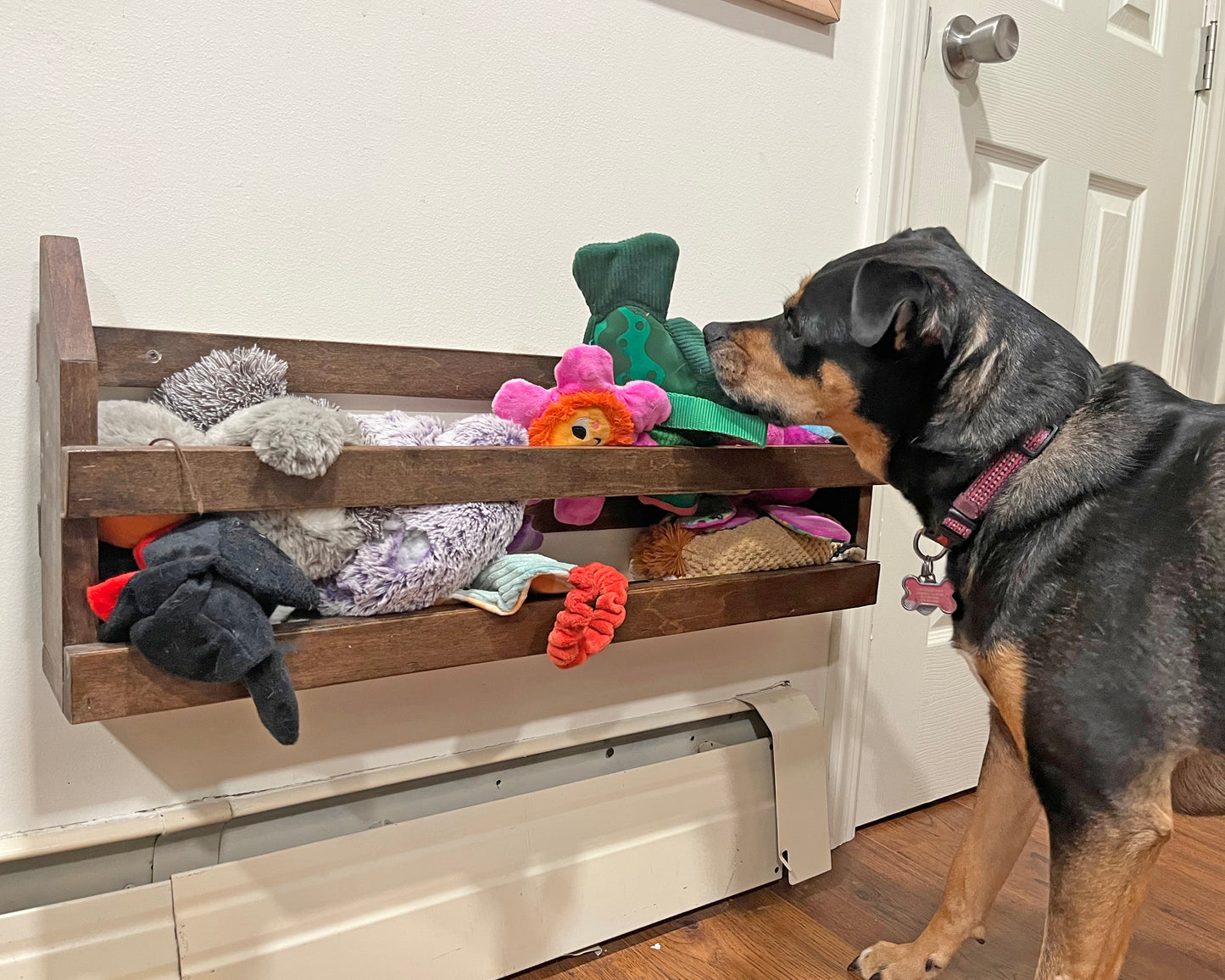 Pet Toybox