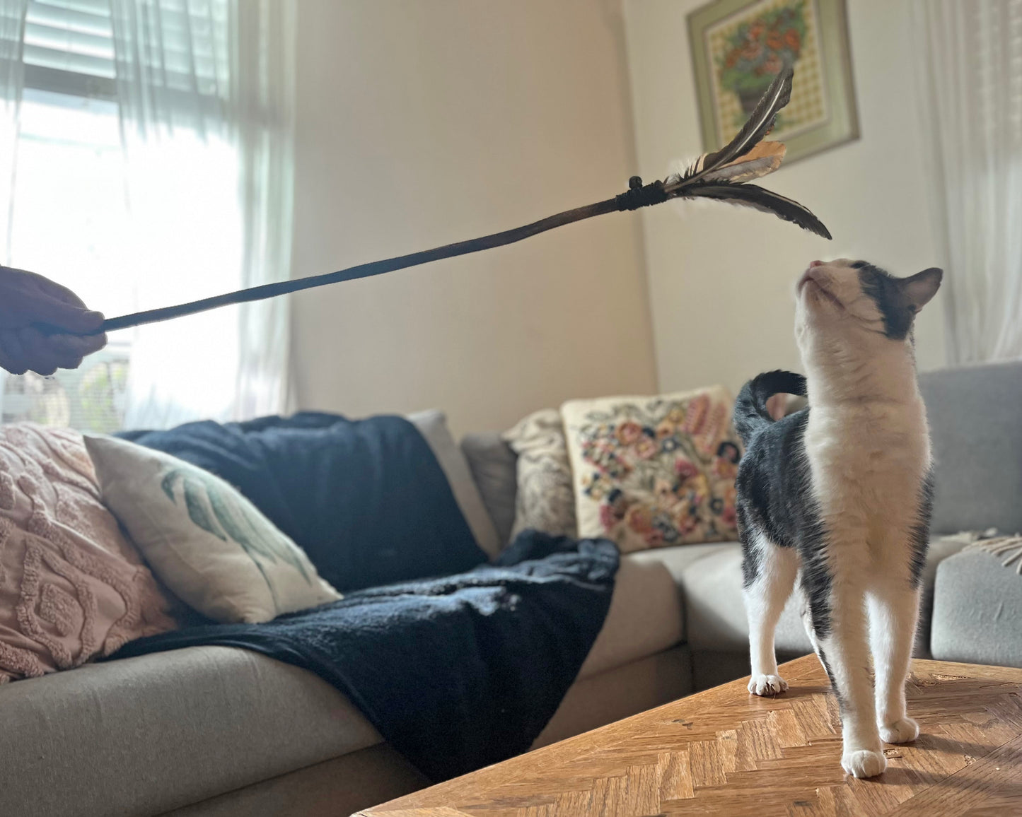 Feather Cat Toy