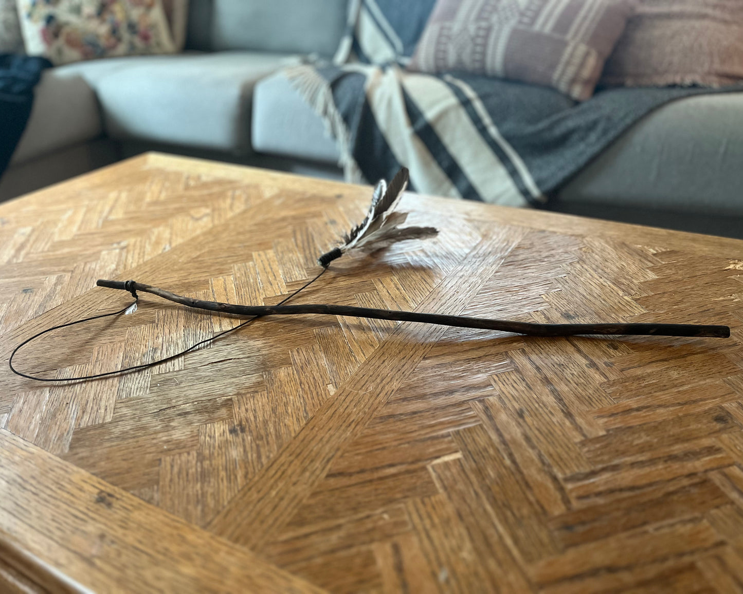 Feather Cat Toy