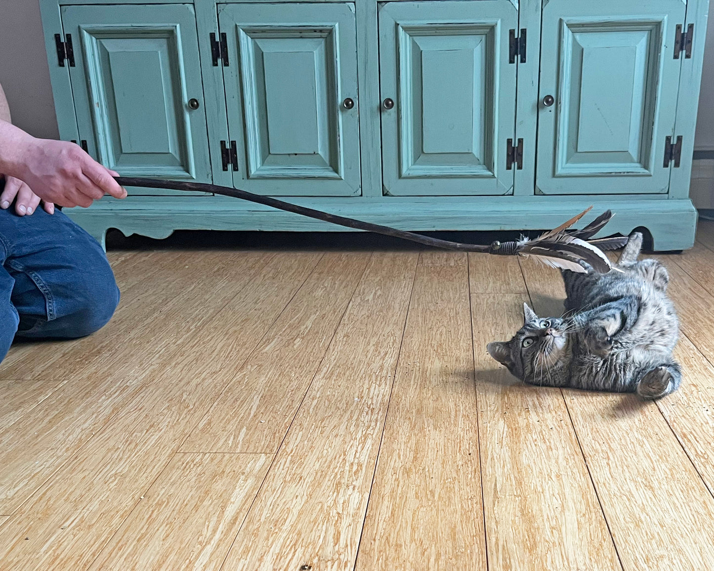 Feather Cat Toy